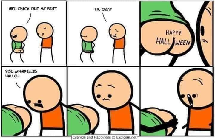 44855406_10218498339235208_4893384333437435904_n